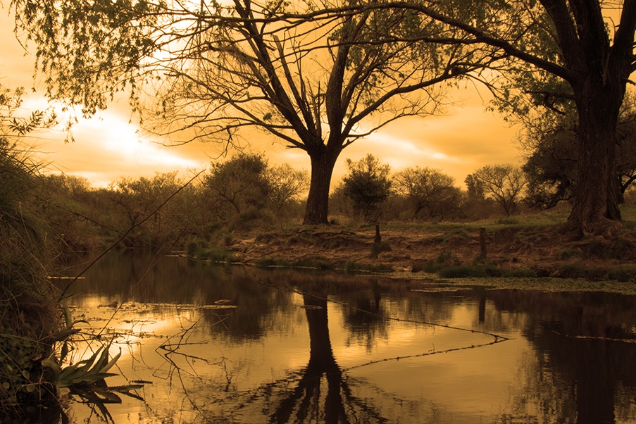 "Atardecer" de Federico Arlettaz