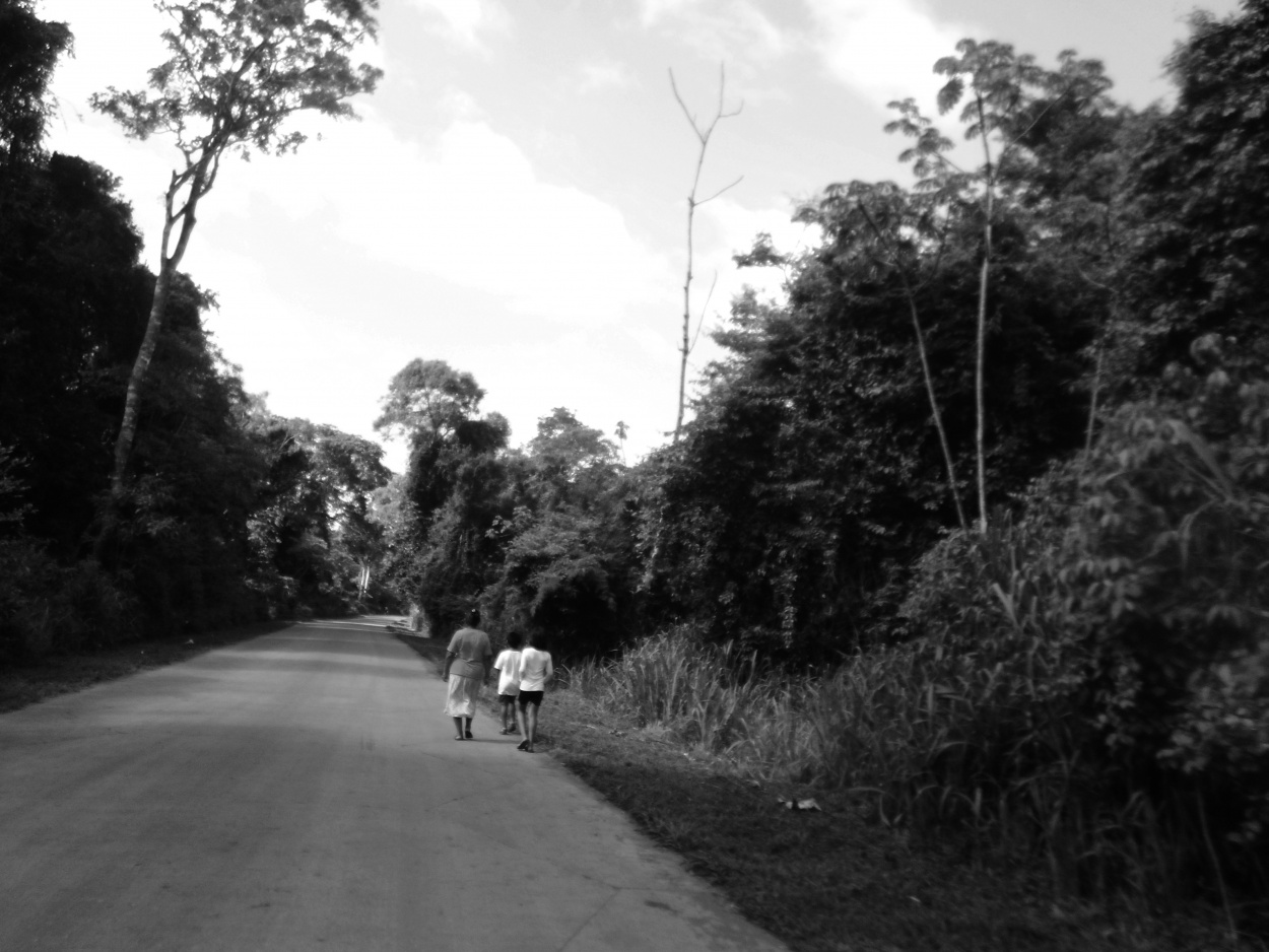 "Caminando con mam" de Cesar Muoz