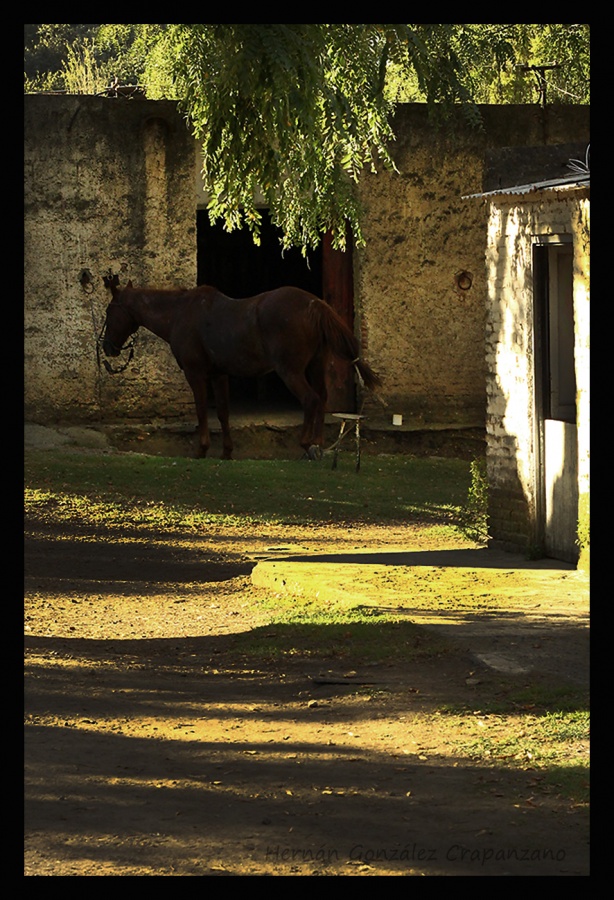 "Escenas de campo al atrdecer" de Hernn Gonzlez Crapanzano