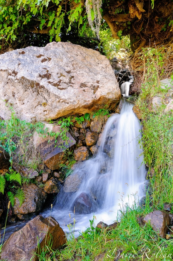 "Rincones del Per 135 Can del Colca" de David Roldn