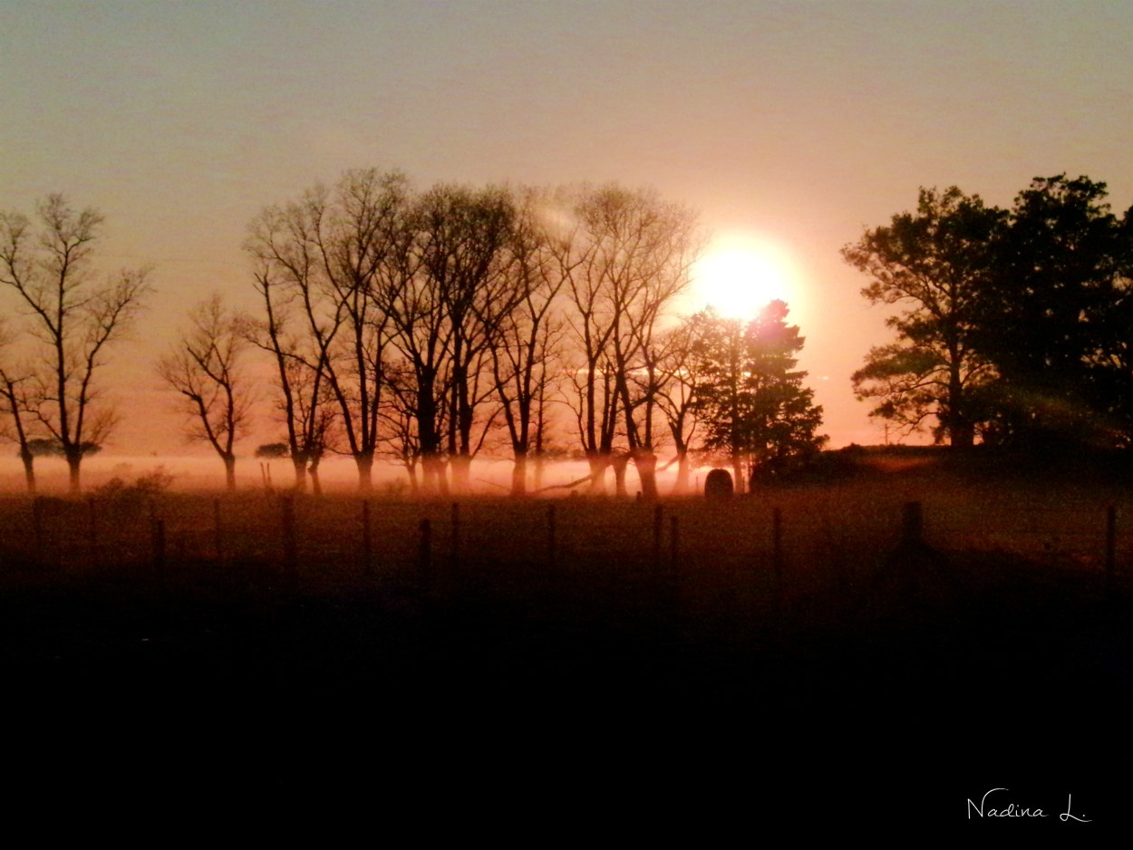 "Amanecer Campestre II" de Nadina Luduea