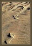 Pisadas en la arena