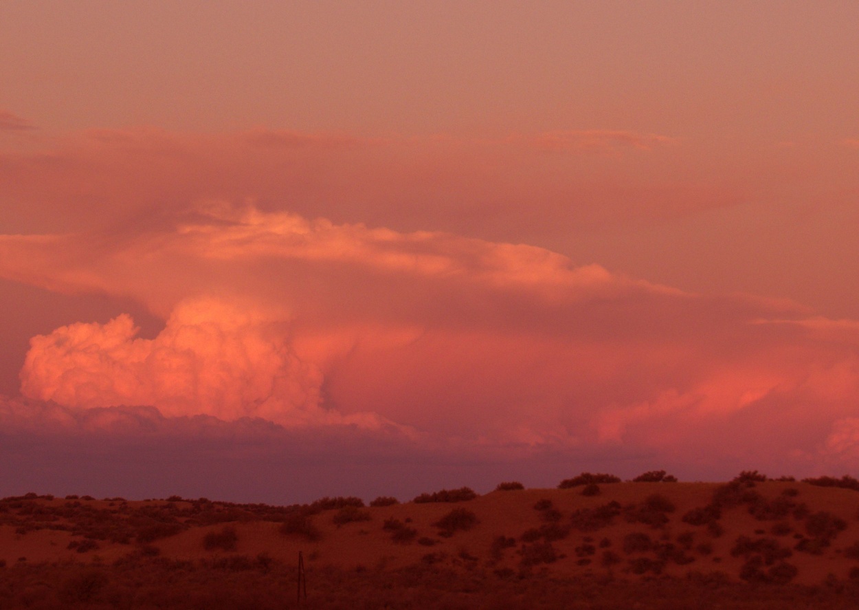 "`Cumulus Rosa`" de Iris Elizabeth Scotto