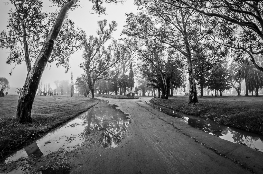 "Primavera demorada" de Fernando Valdez Vazquez