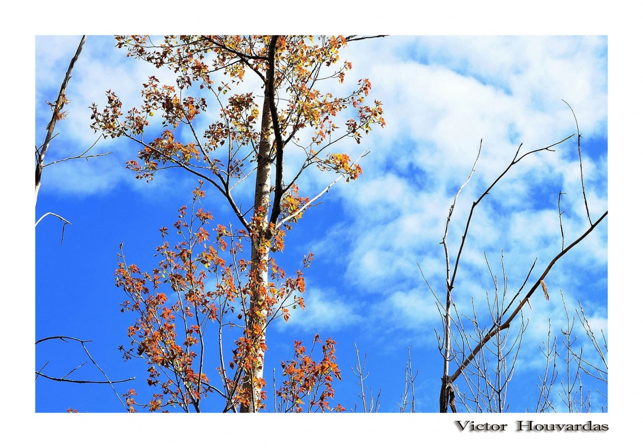 "Bajo un cielo azul" de Victor Houvardas