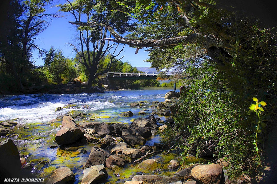 "Rio Azul" de Marta Dominici