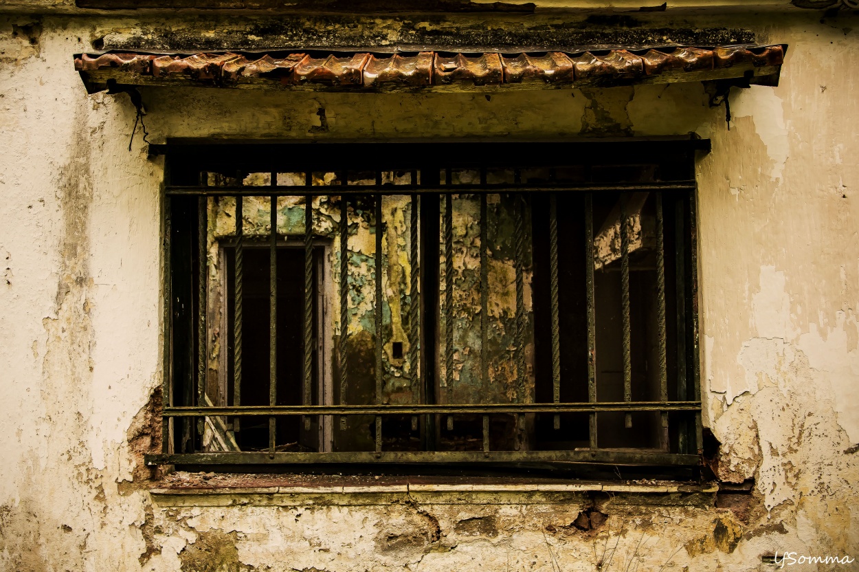 "La ventana" de Luis Fernando Somma (fernando)