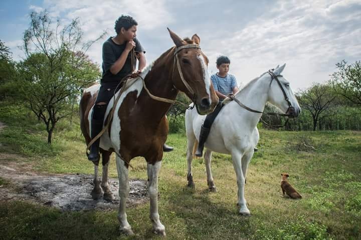 "Jovenes de campo..." de M. Angeles Colla