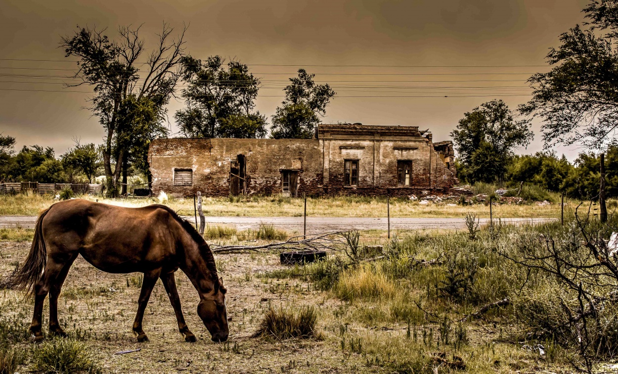 "El viejo oeste" de Nicols Echevarra