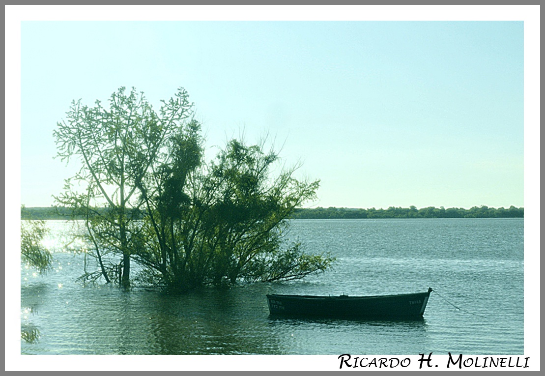 "Alto el ro" de Ricardo H. Molinelli