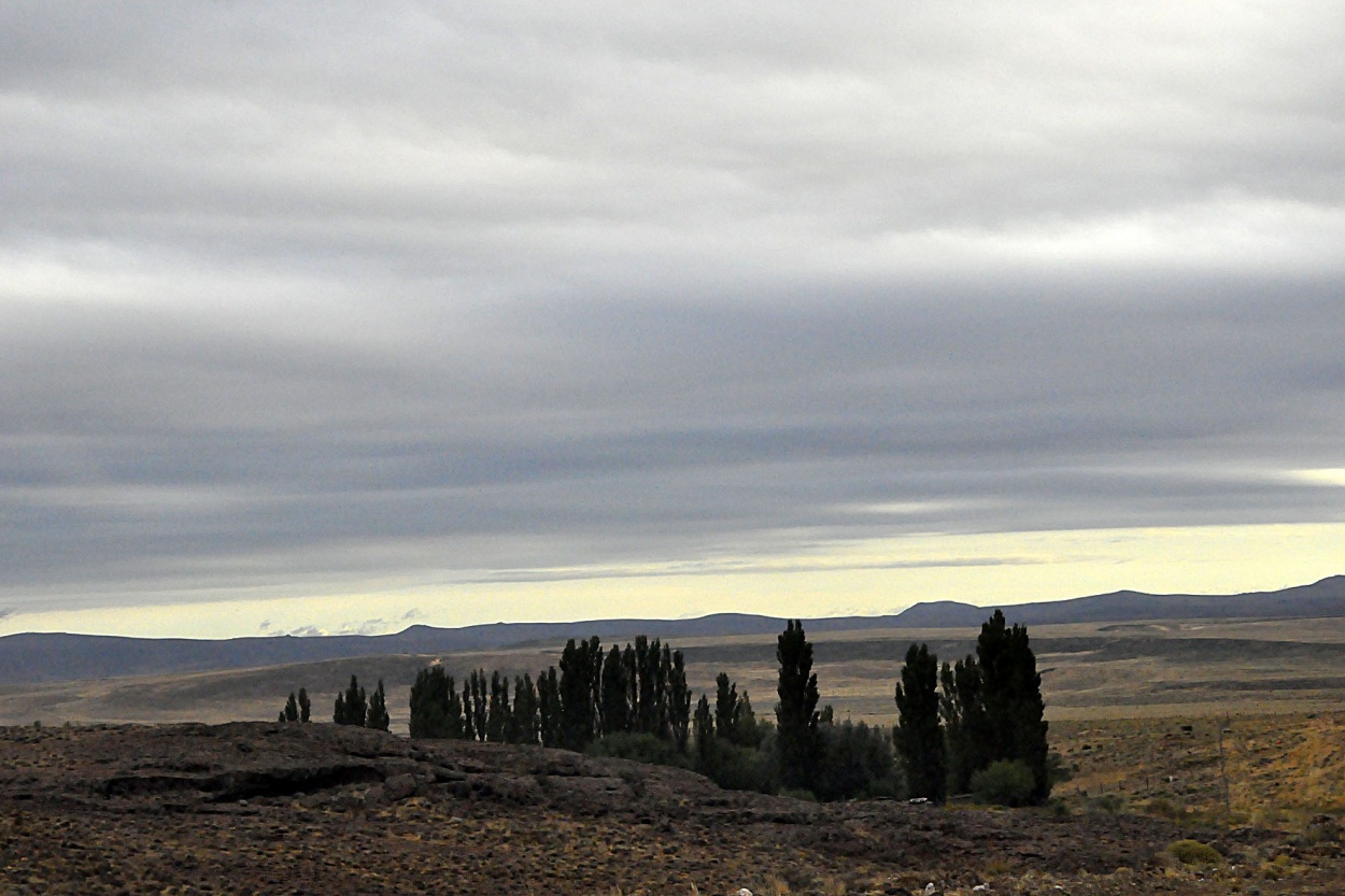 "Paisaje sureo" de Beatriz Franchini