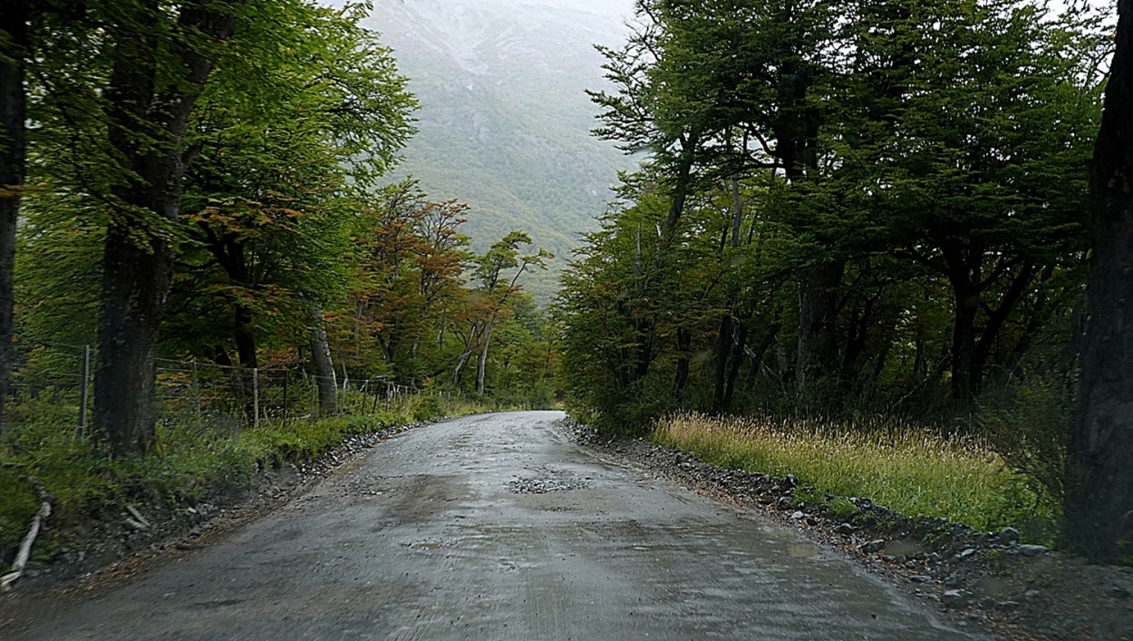 "caminito sureo" de Fernando Oscar Colussi