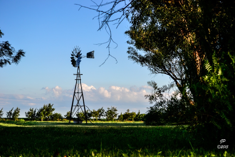 "Tardecita de Campo" de Guillermo Daniel Pasquale