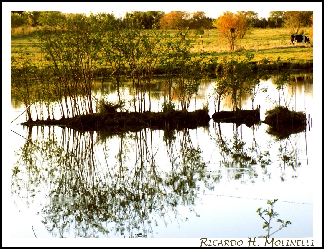 "Reflejos del baado" de Ricardo H. Molinelli