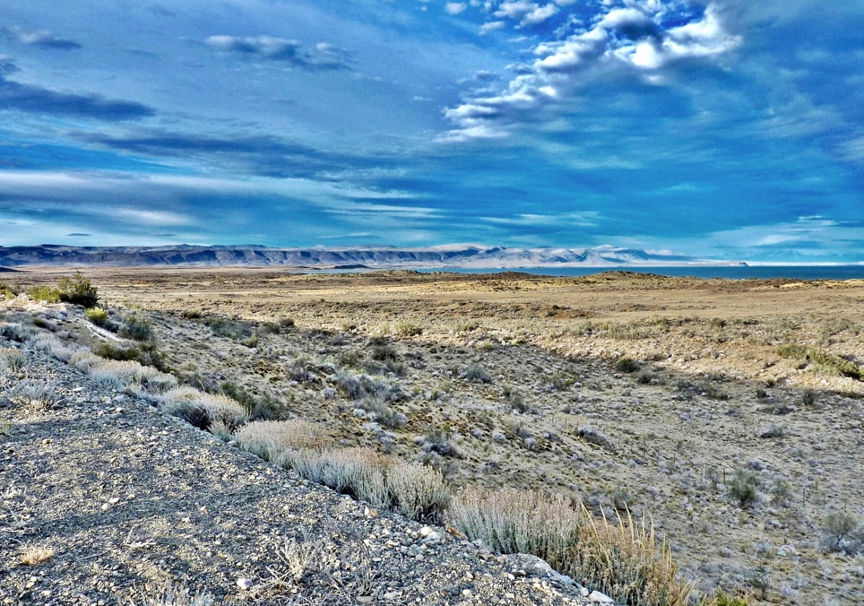 "meseta patagonica" de Fernando Oscar Colussi