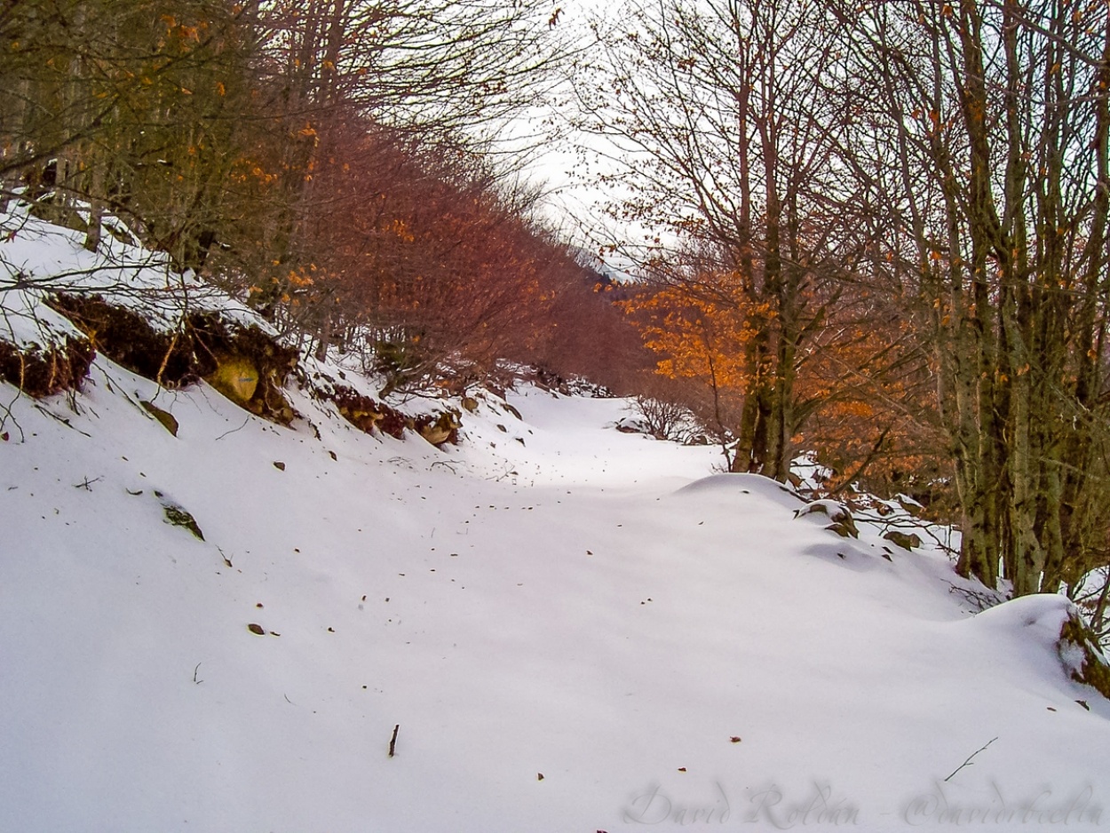 "Racons de Catalunya 291 Vall d`Aran" de David Roldn