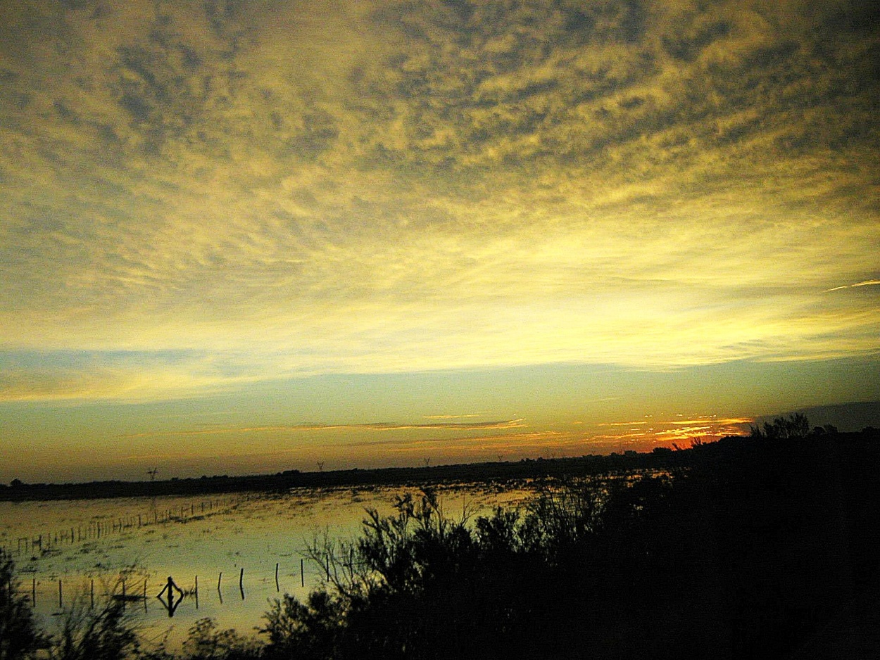 "Atardecer en Bragado." de Mnica Lilia Fernndez