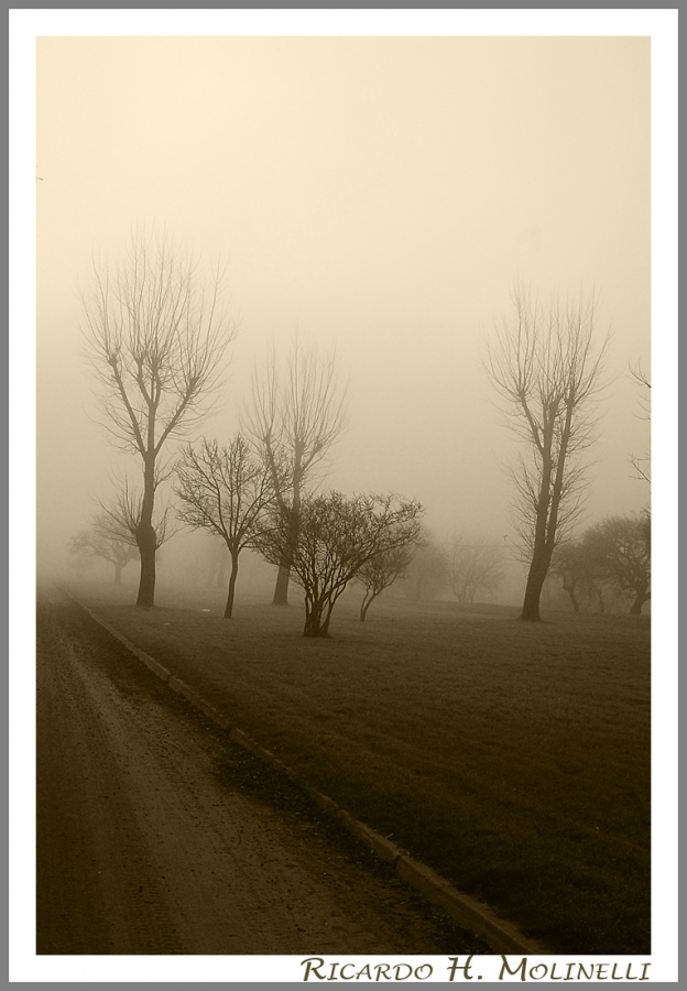 "Neblina" de Ricardo H. Molinelli