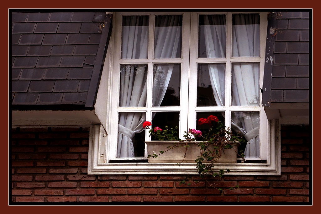 "Flores en la Ventana" de Mascarenhas Cmara. Juan de Brito