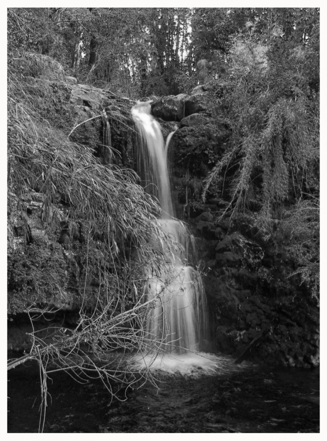 "La cascada" de Gisele Burcheri