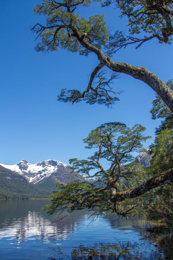 "Lago Fonck" de Ricardo Wychlo