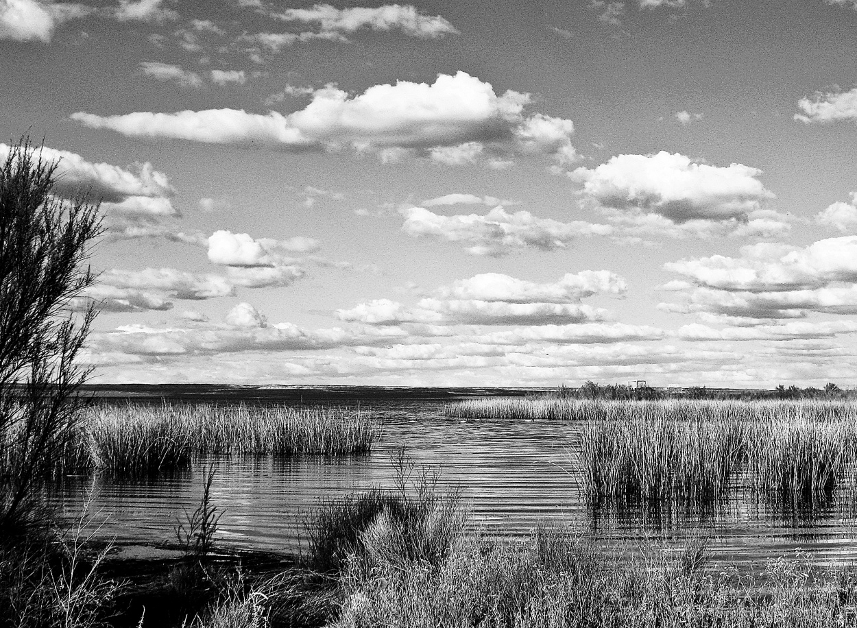 "Lago en ceniza." de Mnica Lilia Fernndez