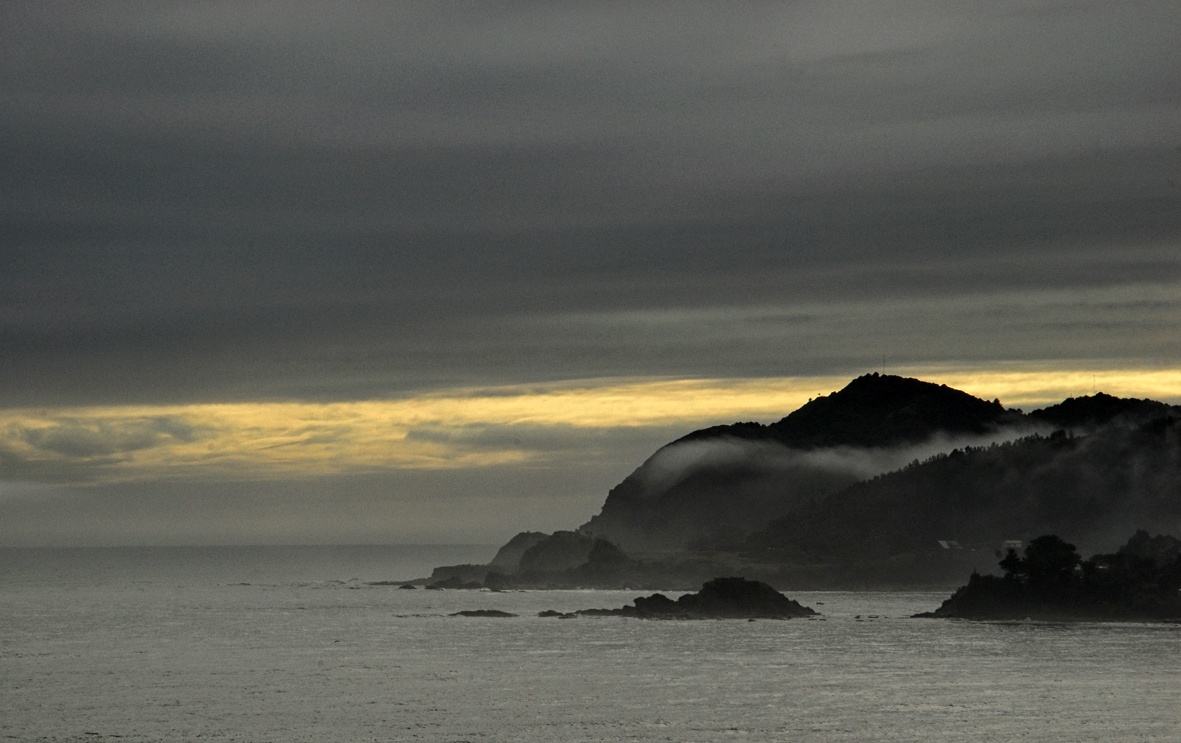 "Niebla en Niebla" de Gisele Burcheri