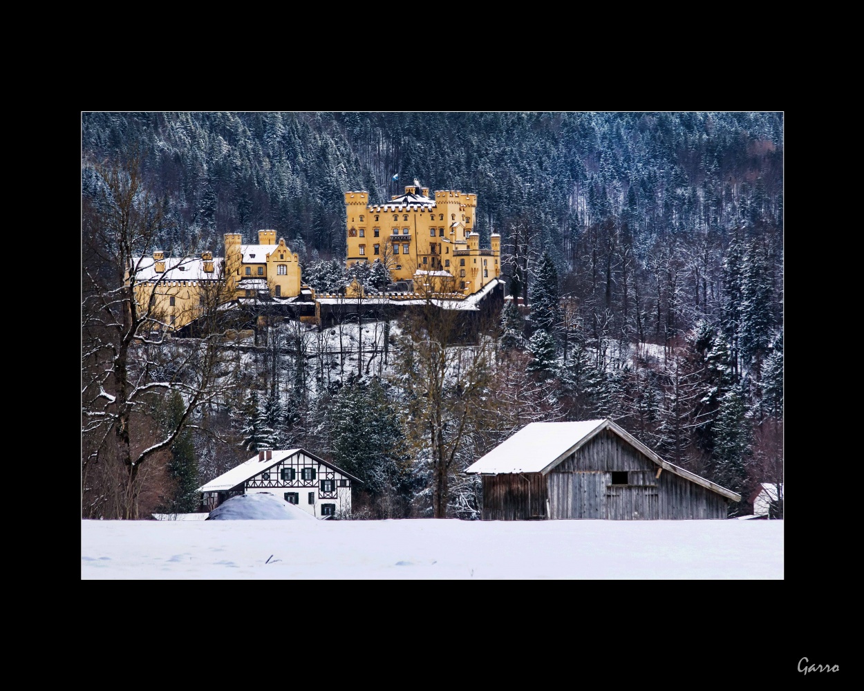 "Nevado" de Roberto Gariglio