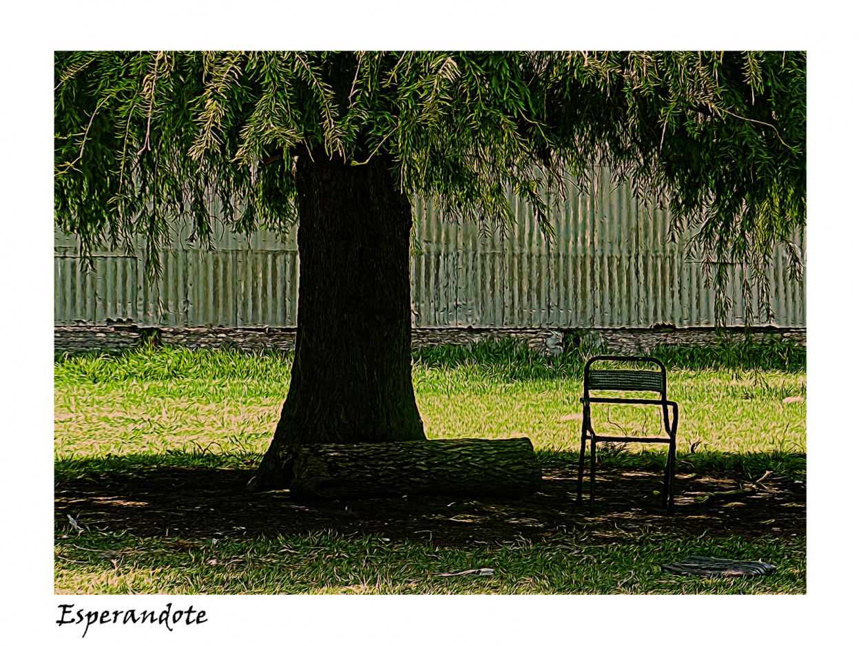 "Esperandote" de Nora Lilian Iturbide ( Noral )