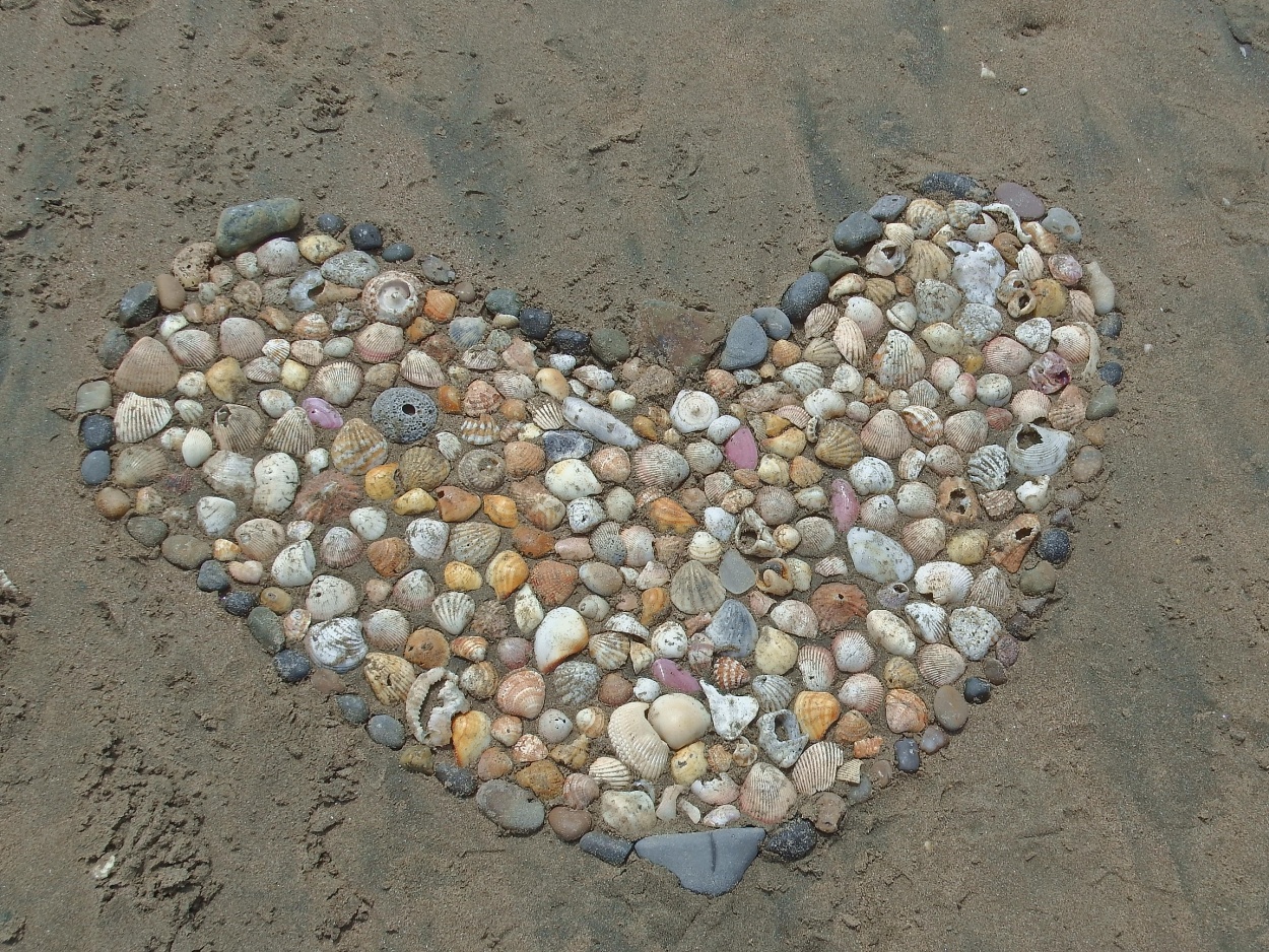 "El corazon de la Playa" de Humberto Freire