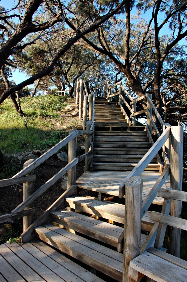 "la escalera" de Leonardo Perissinotto