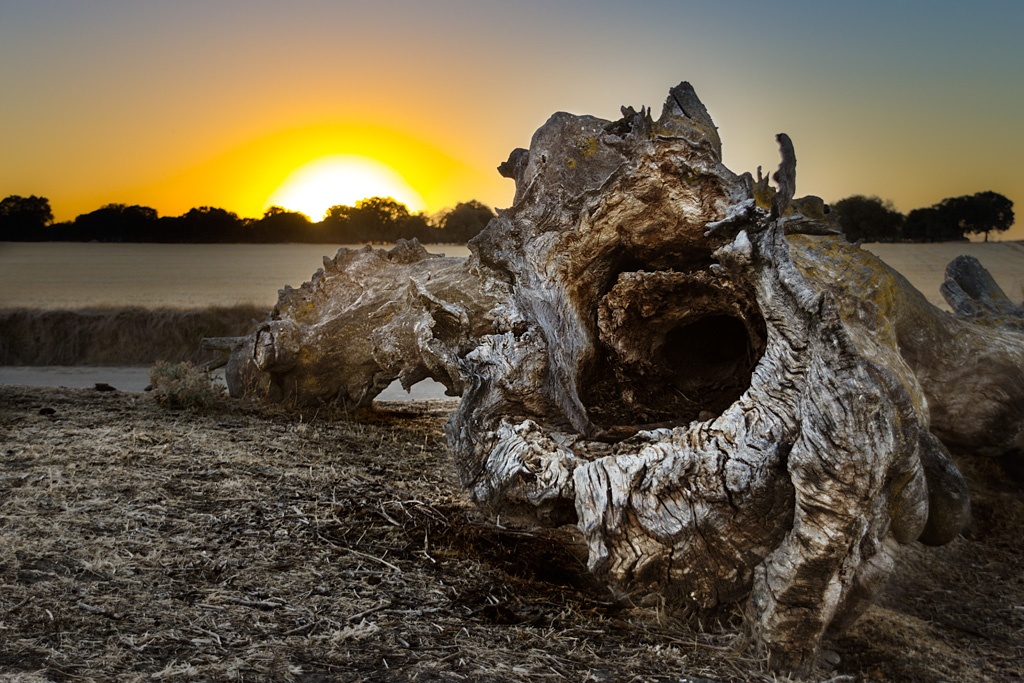 "Atardecer" de Javier Enjuto Garcia