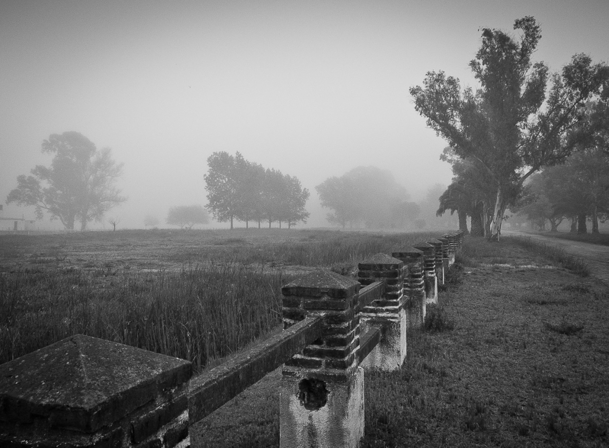 "Diagonal en gris" de Fernando Valdez Vazquez