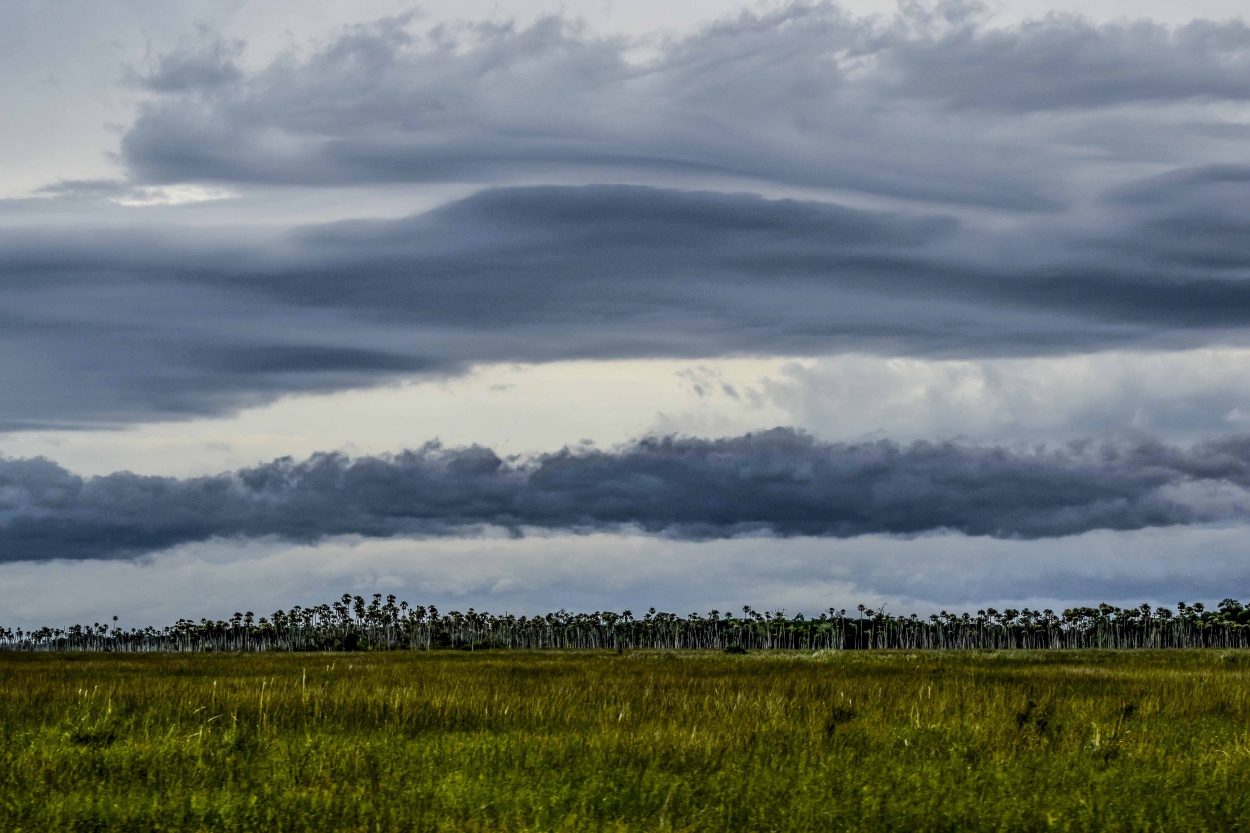 "Tarde de tormenta" de Adriana Claudia Gallardo