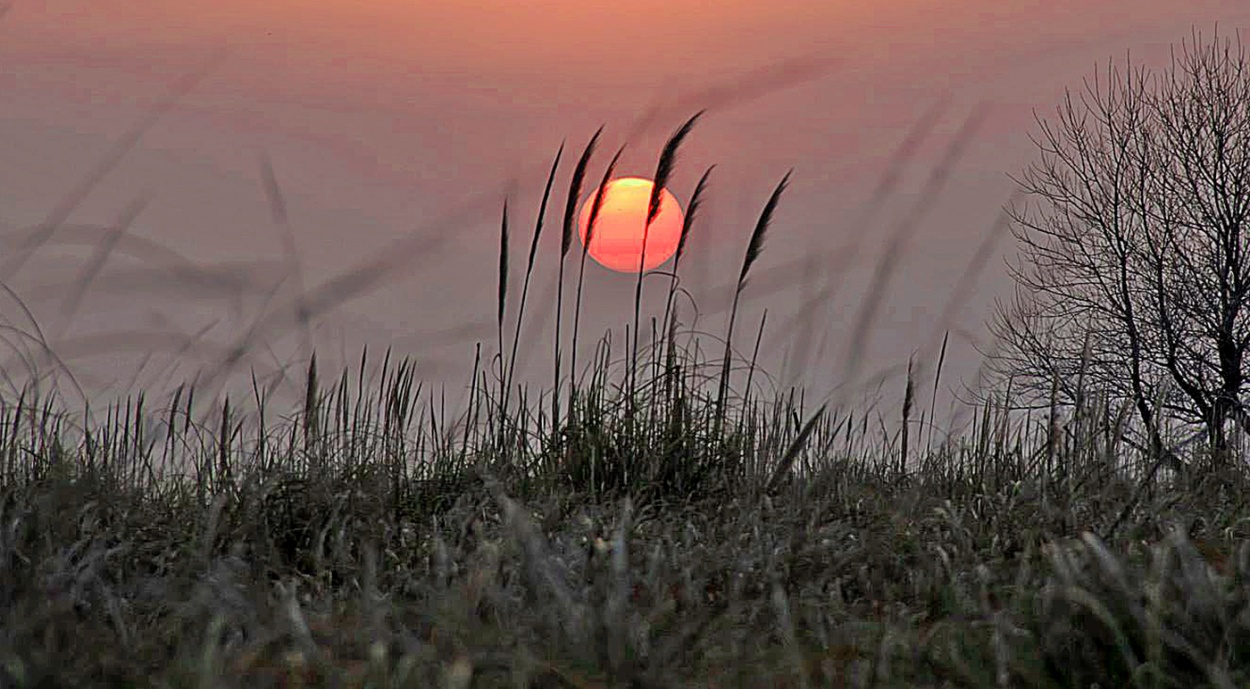 "cae el sol" de Edith Polverini