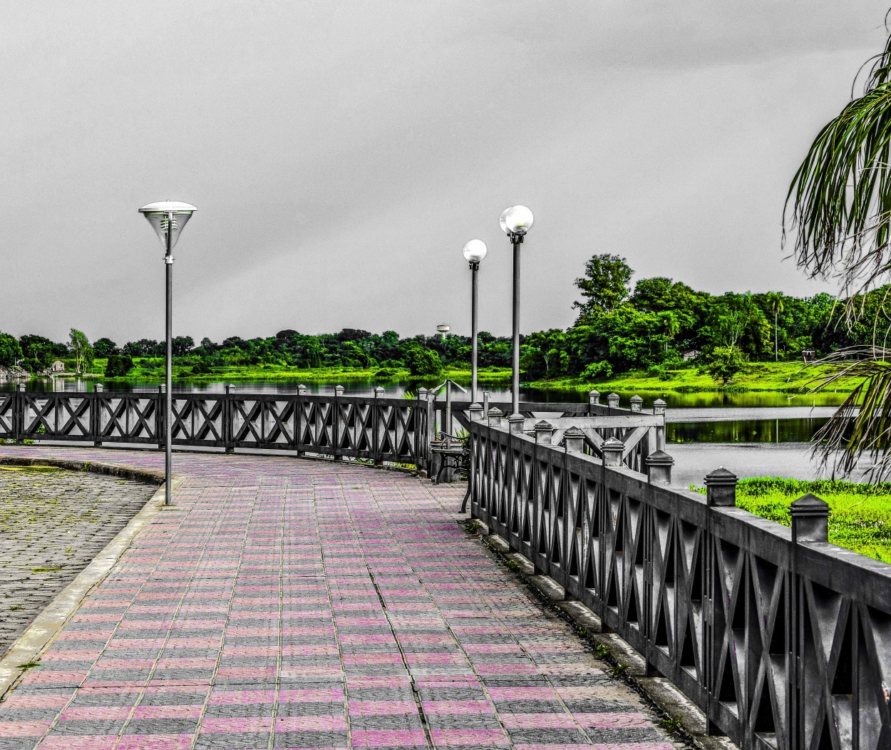 "Las farolas" de Adriana Claudia Gallardo