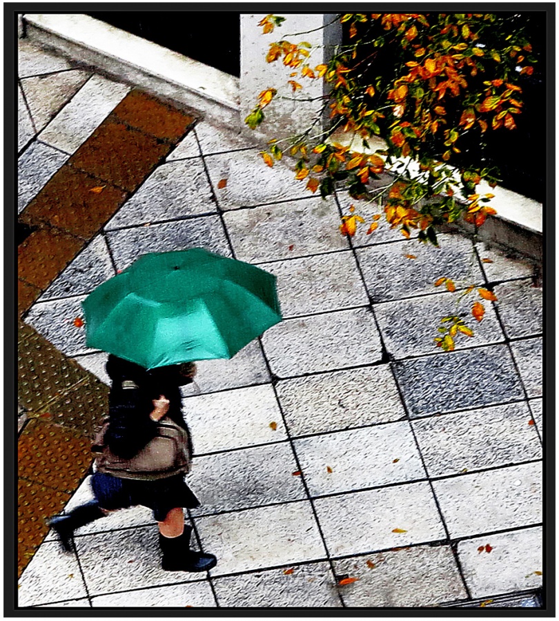 "Las lluvias vienen marchando" de Jorge Vicente Molinari