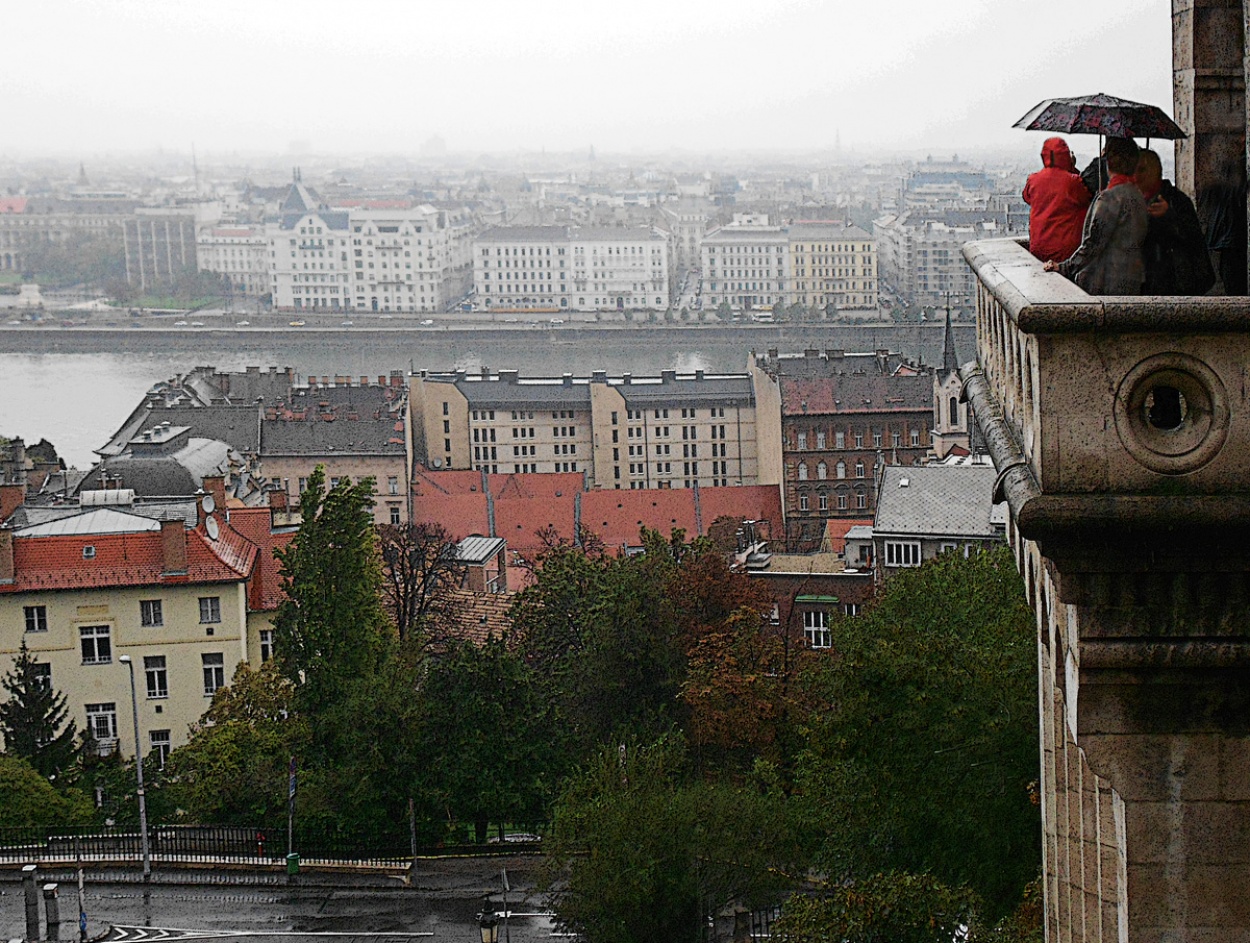 "Observando el panorama" de Ricardo S. Spinetto