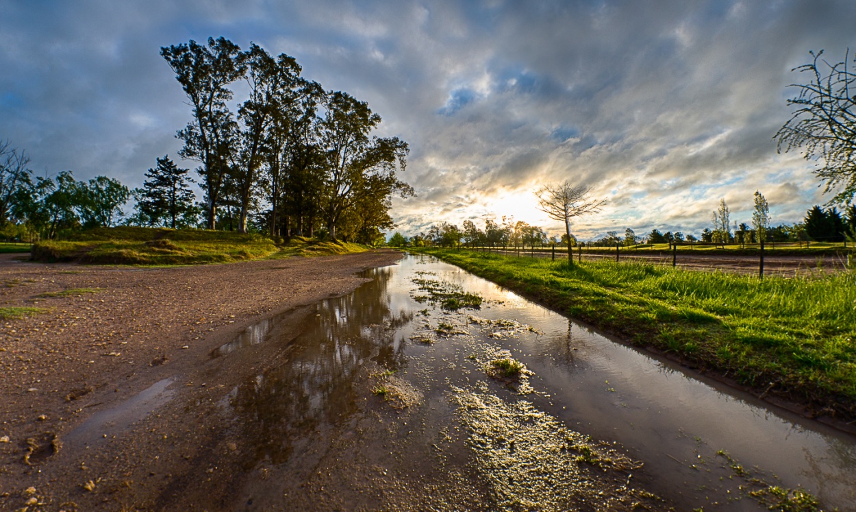 "Reflejos de la lluvia" de Fernando Valdez Vazquez