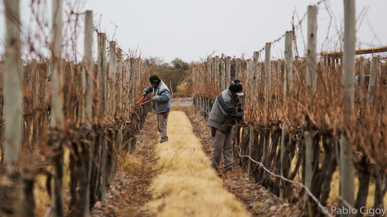 "Trabajadores de mi tierra" de Pablo Cigoy