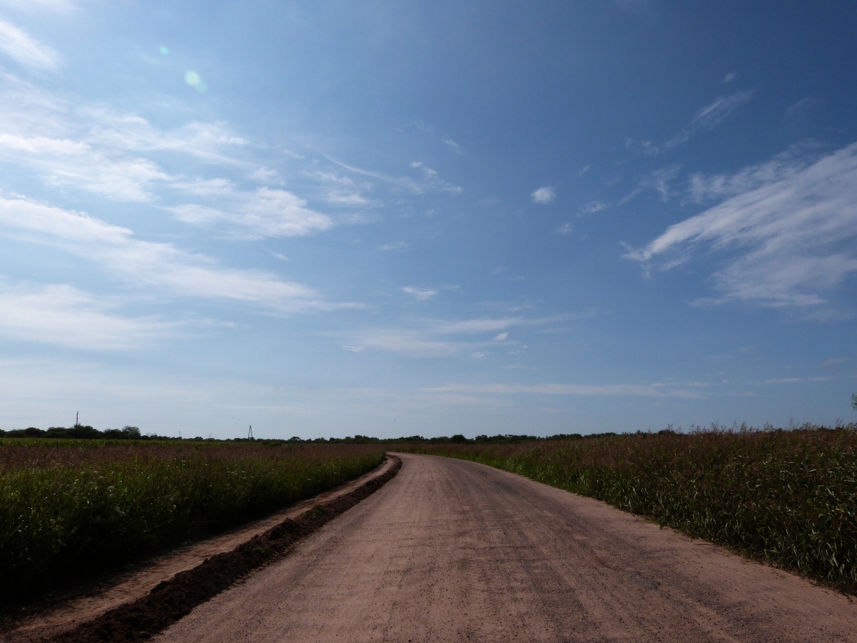 "Al lado del CAMINO" de Leonardo Donnet