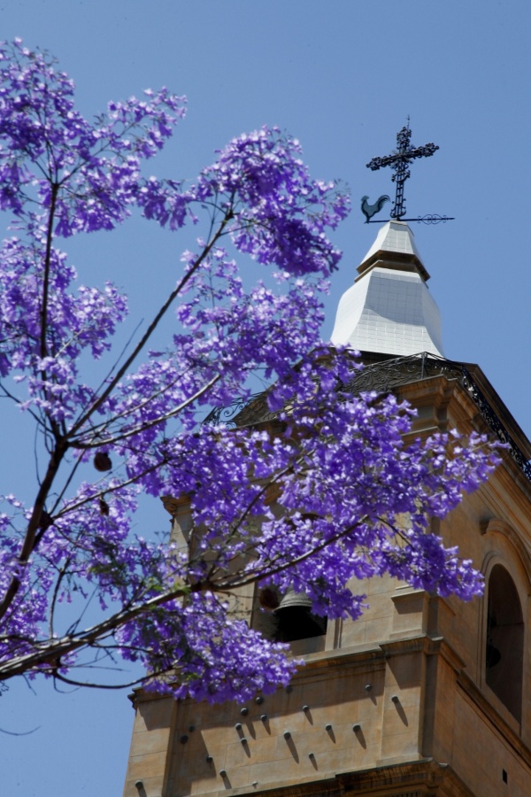 "Campanario" de Francisco Luis Azpiroz Costa