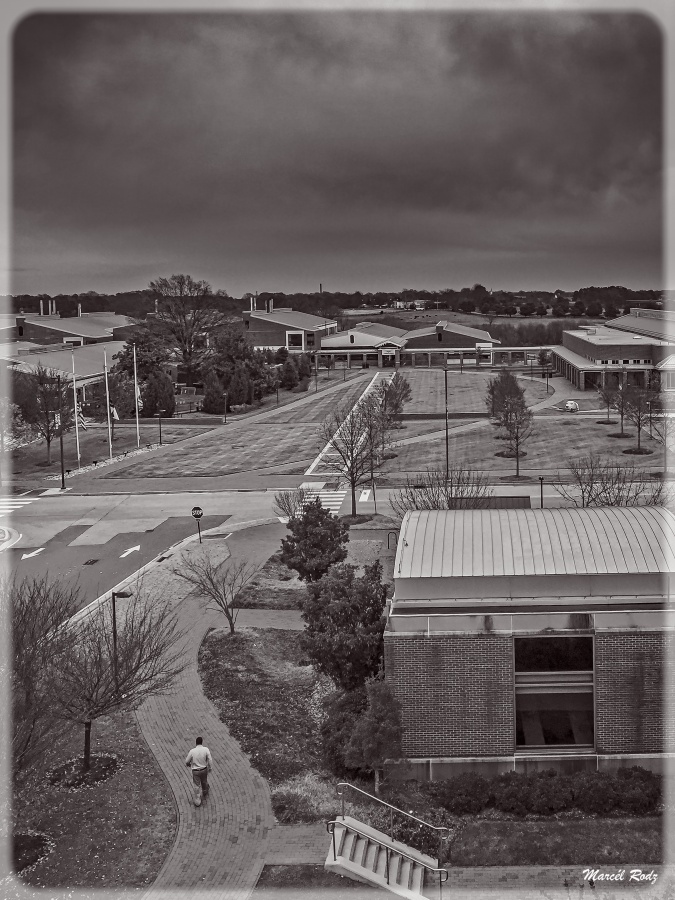 "Campus" de Marcello Rodriguez Puebla