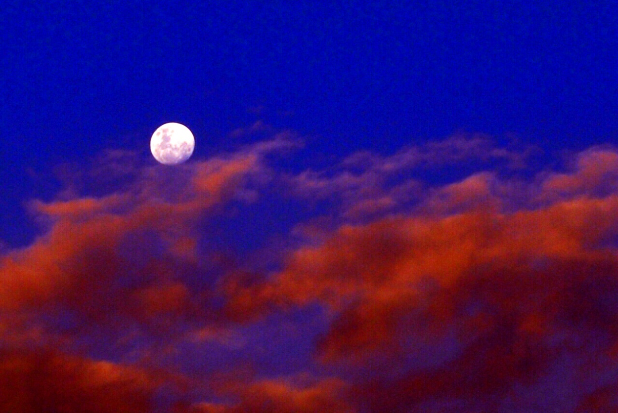 "Luna Llena de Navidad!!!" de Silvia Emilia Guerra