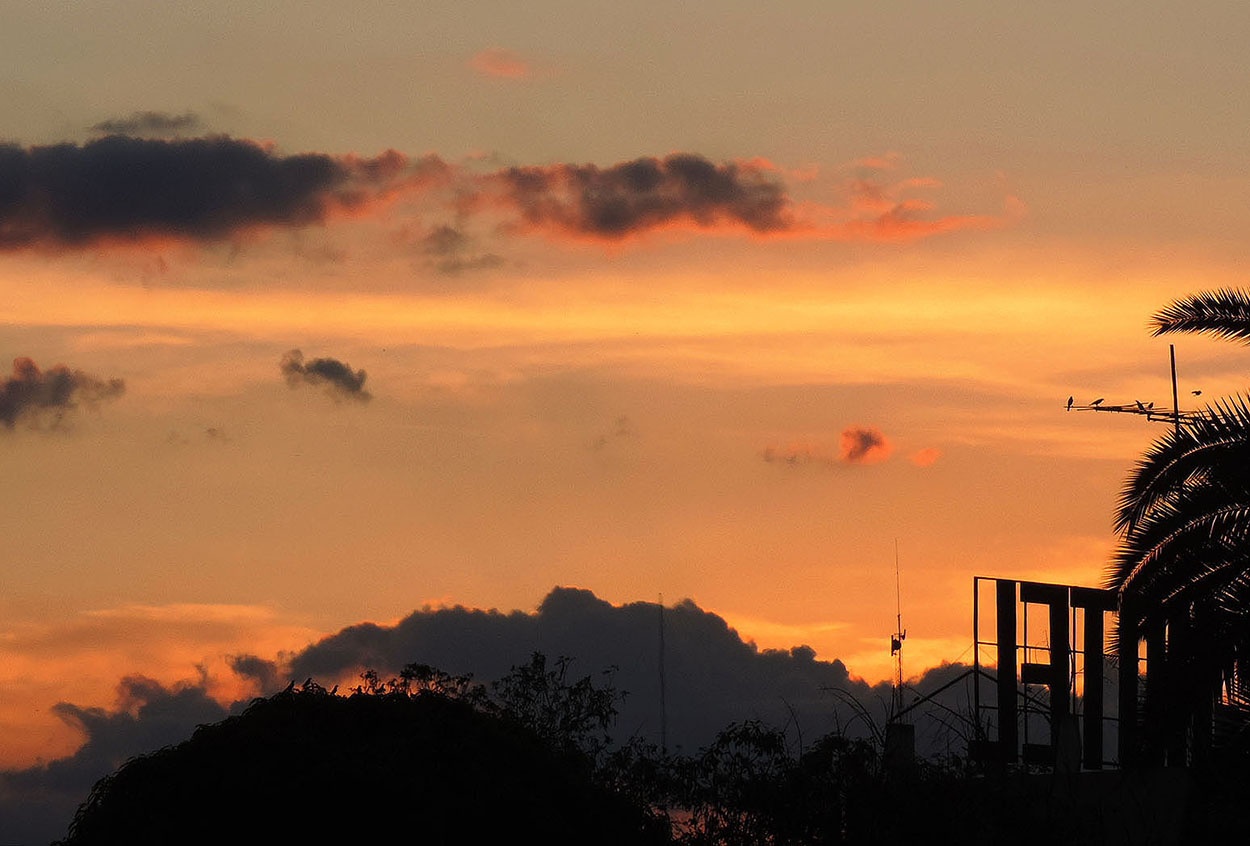 "Al atardecer" de Ana Maria Real