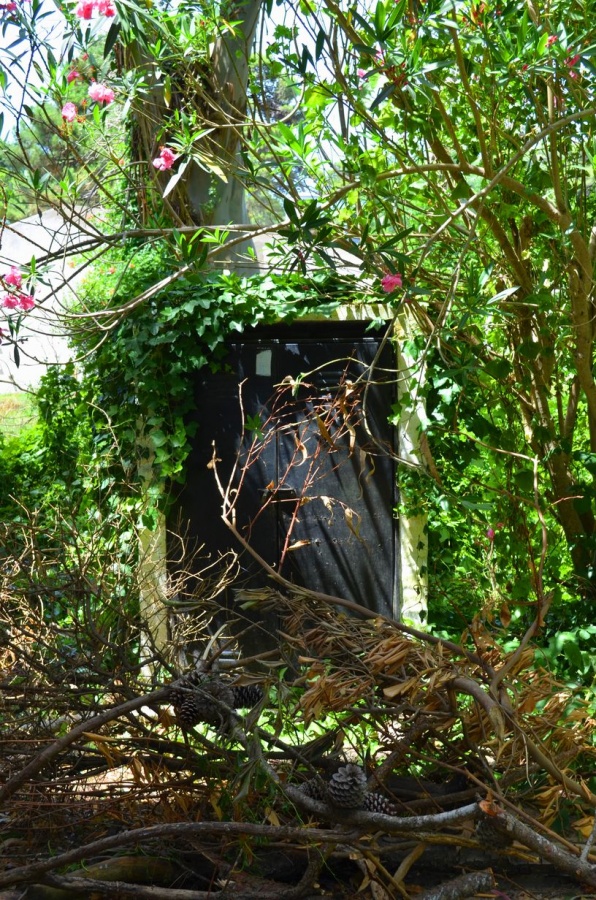 "Abandonada" de Albertina Yaconis