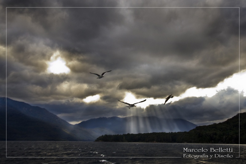 "Vuelo sobre el Paraiso" de Marcelo Belletti