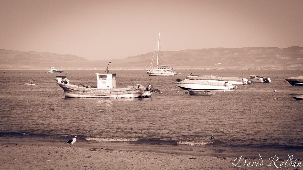 "Rincones del Per #067 Paracas" de David Roldn