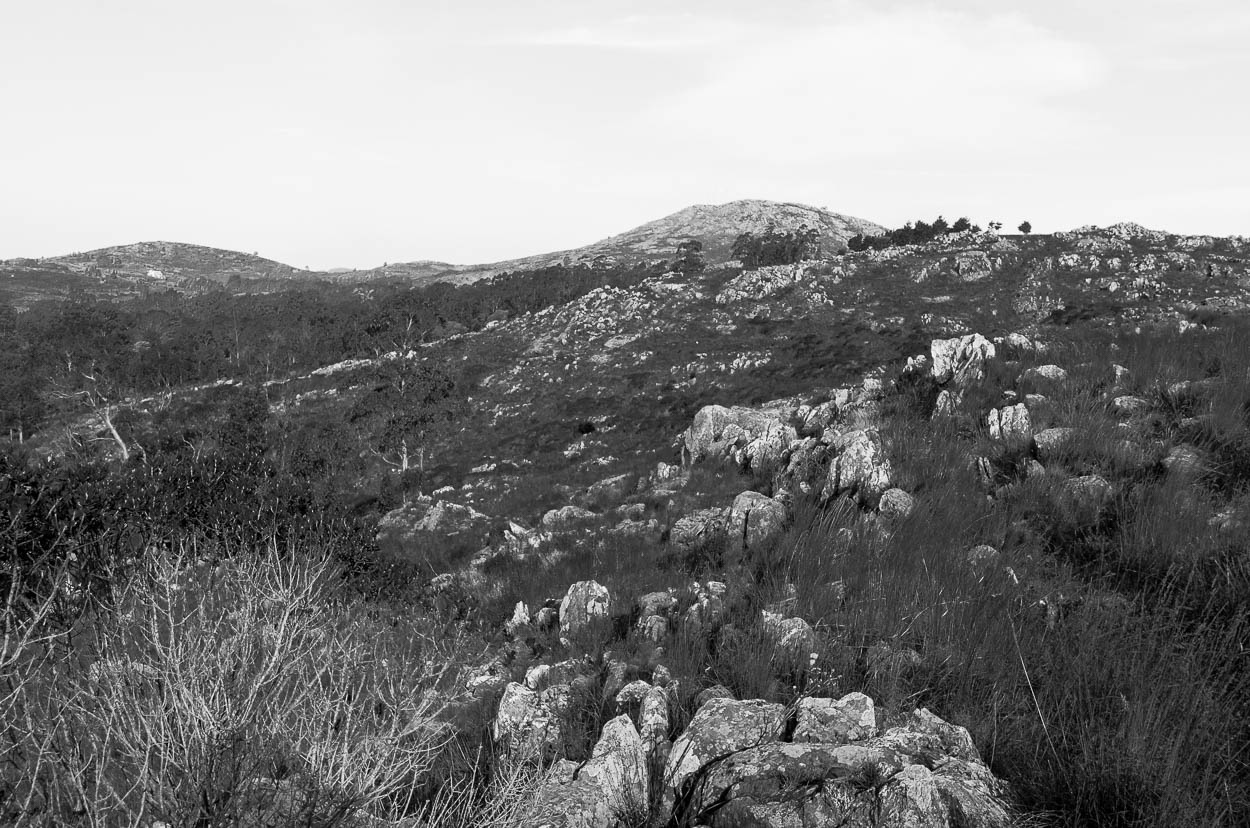 "Cerro y Viento" de Adolfo Cabrera