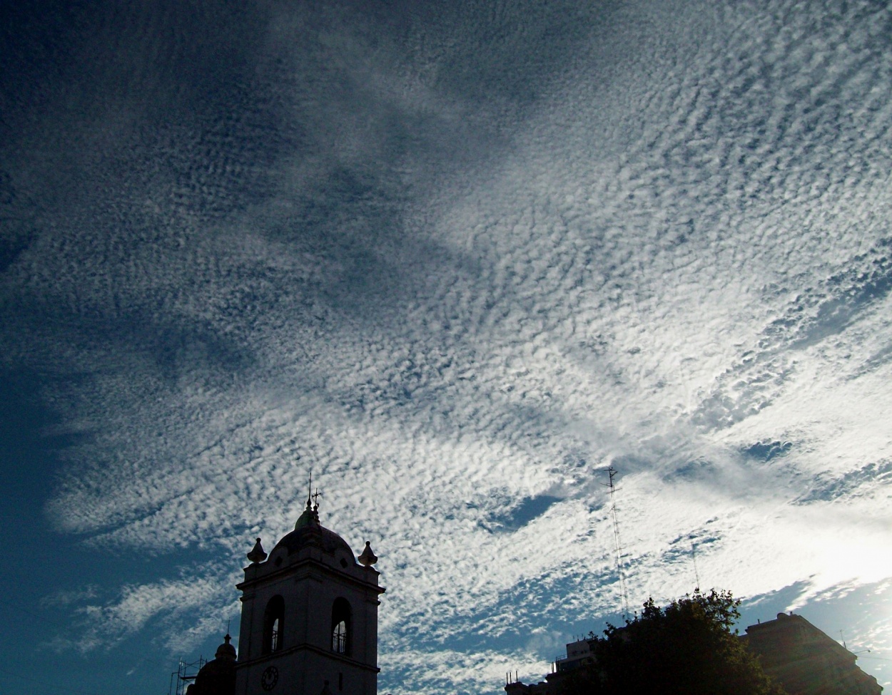 "un cielo...desde el 49" de Marisol Salvador